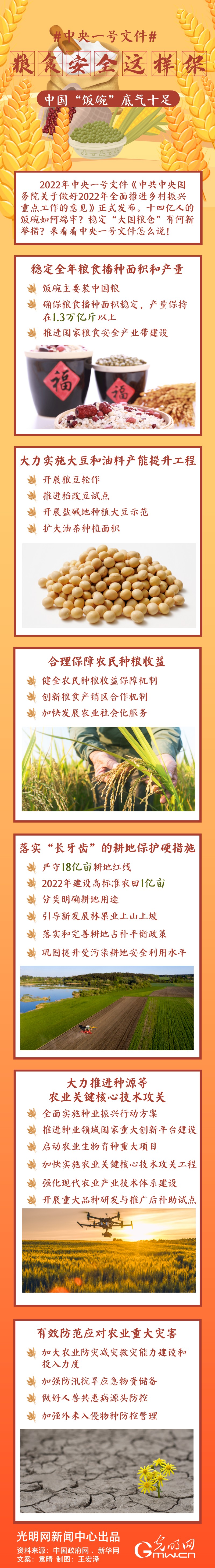 中央一號(hào)文件｜糧食安全這樣保，中國(guó)“飯碗”底氣十足