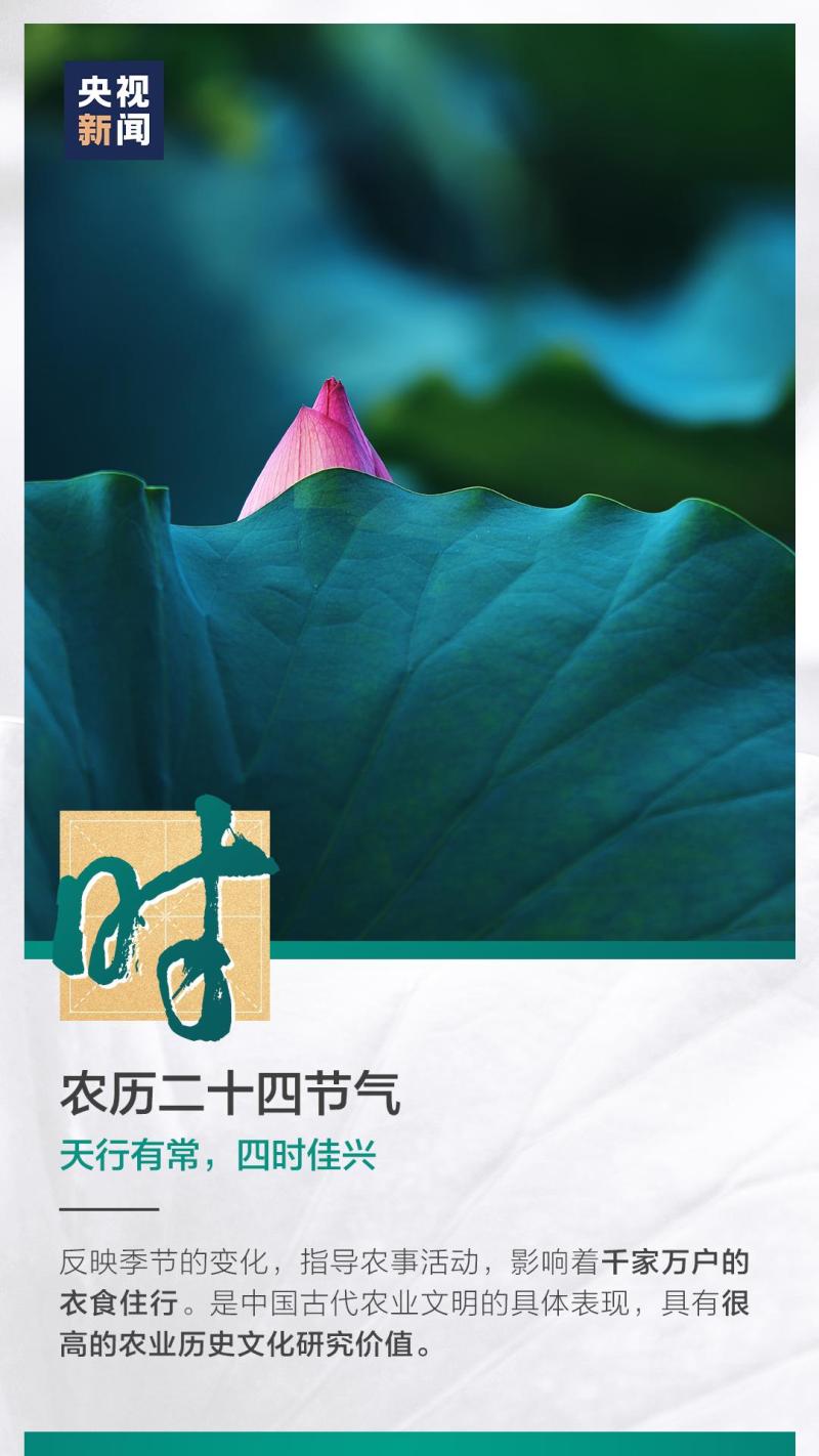 這也太浪漫了吧！