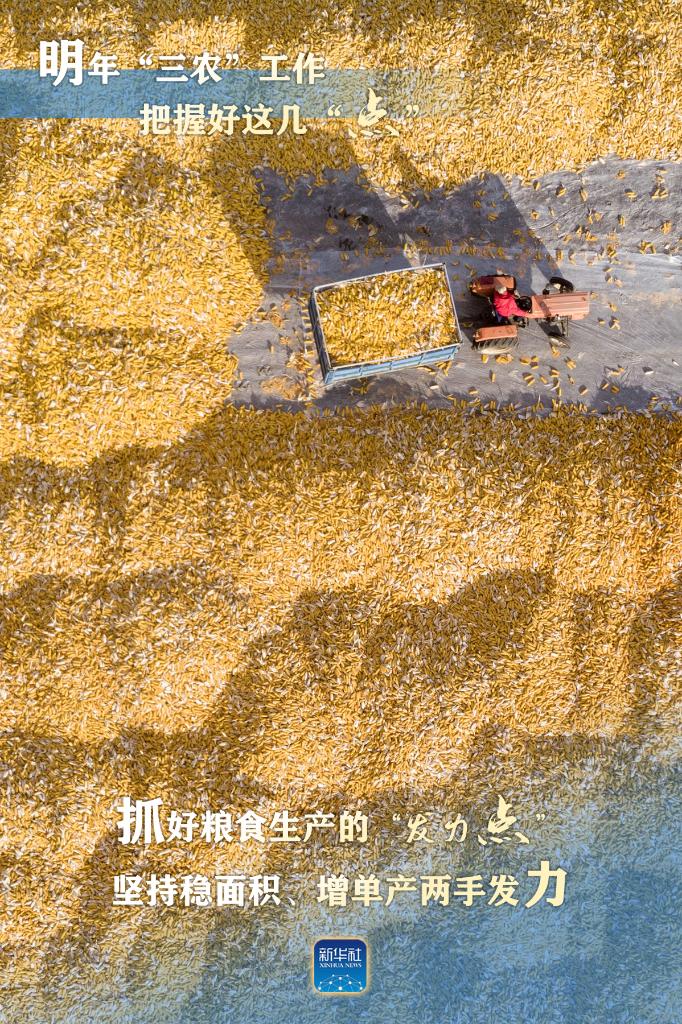 明年“三農(nóng)”工作，這幾個“點”要把握好