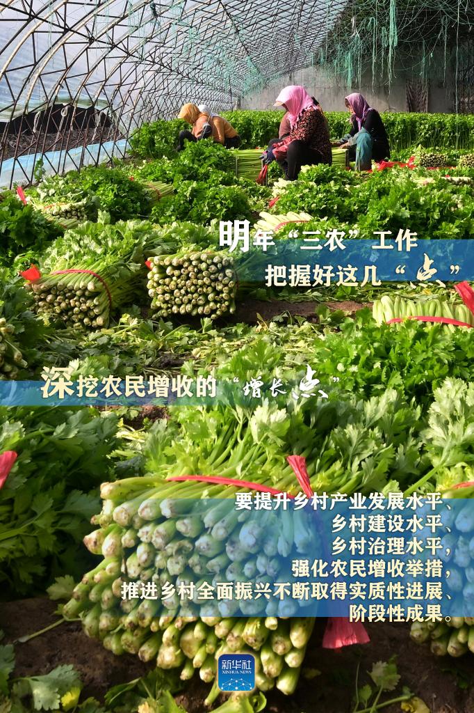 明年“三農(nóng)”工作，這幾個“點”要把握好