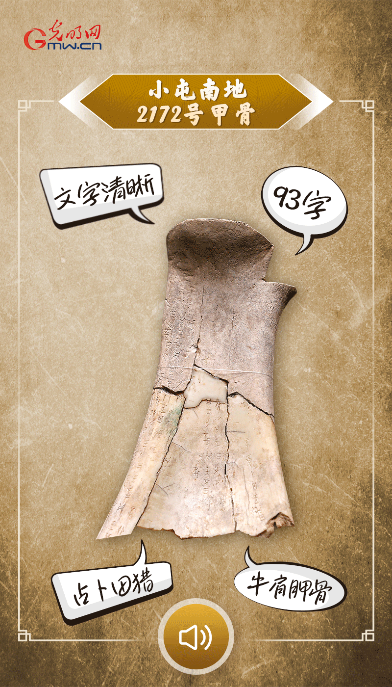 文物會(huì)說話 | 殷墟博物館新館開館啦，帶你奔赴“千年之約”