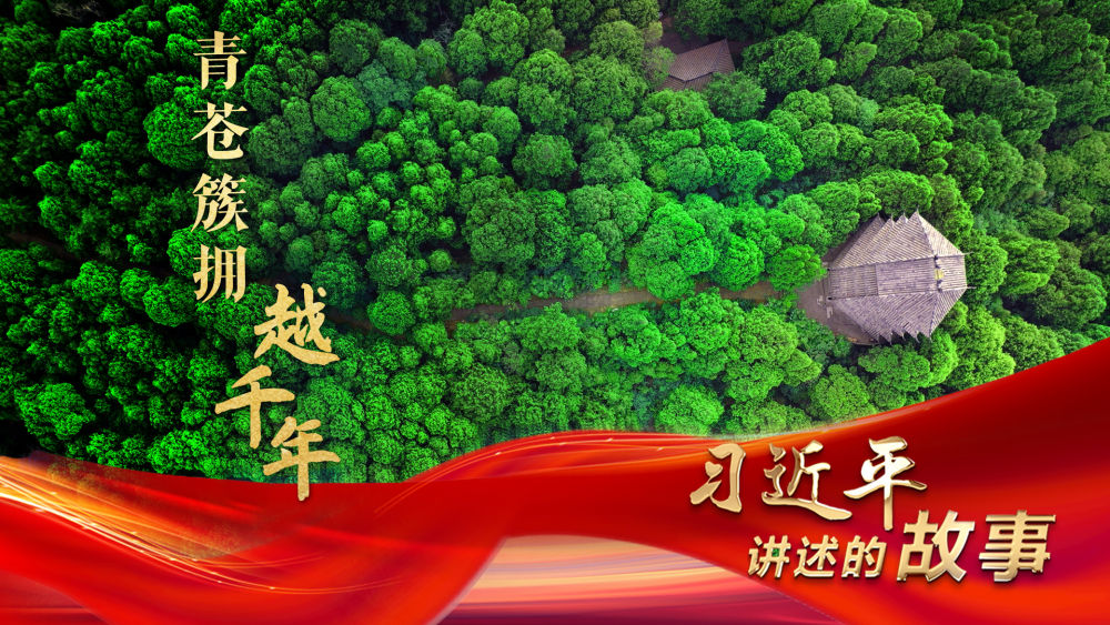 習近平講述的故事|青蒼簇擁越千年