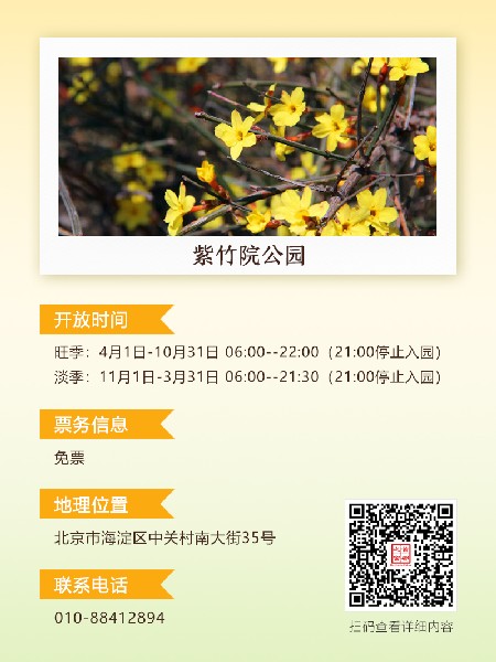 追花指南第二期！京城三月里最撩人的玉蘭觀賞地