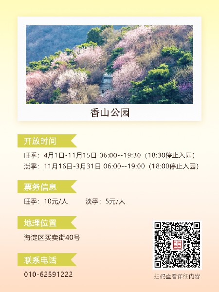 追花指南第六期！杏花雨 楊柳風(fēng) 北京最美的杏花在這里