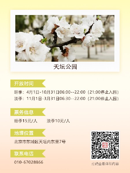 追花指南第六期！杏花雨 楊柳風(fēng) 北京最美的杏花在這里