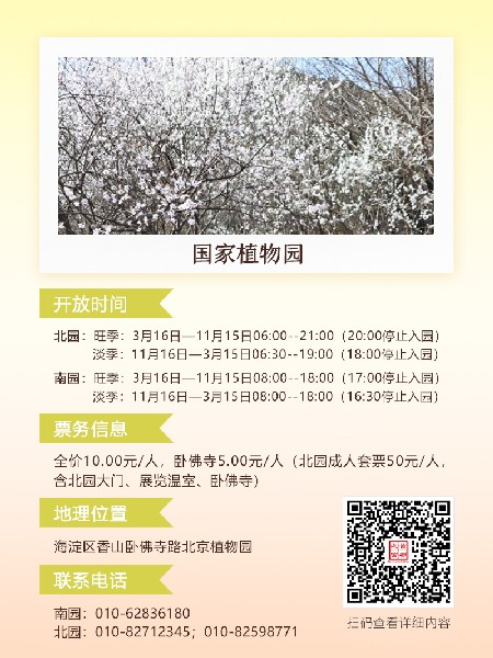 追花指南第六期！杏花雨 楊柳風(fēng) 北京最美的杏花在這里