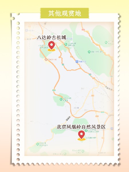 追花指南第六期！杏花雨 楊柳風(fēng) 北京最美的杏花在這里