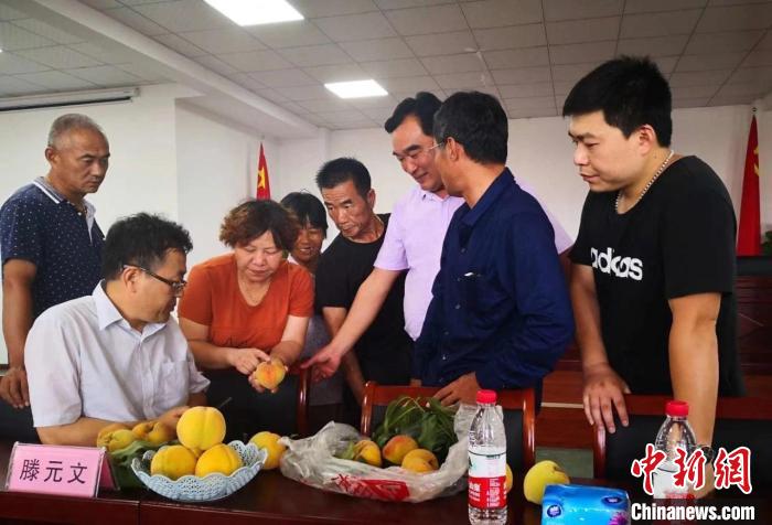 民進(jìn)浙江省委會為三里橋黃桃種植戶送技術(shù)、送指導(dǎo)?！〖紊平y(tǒng)戰(zhàn) 供圖