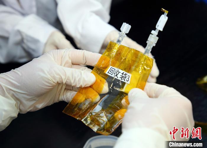 隨神舟十五號(hào)返回地面的空間科學(xué)實(shí)驗(yàn)樣品?！≈锌圃嚎臻g應(yīng)用中心 供圖