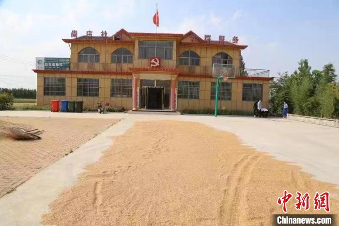 農(nóng)民在邳莊鎮(zhèn)尚莊村黨群服務(wù)中心大院里曬糧?！≠Z萌 攝