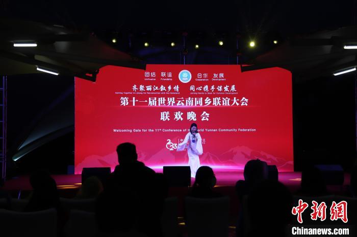 圖為第十一屆世界云南同鄉(xiāng)聯(lián)誼大會(huì)舉辦聯(lián)歡晚會(huì)。　崔永江 攝