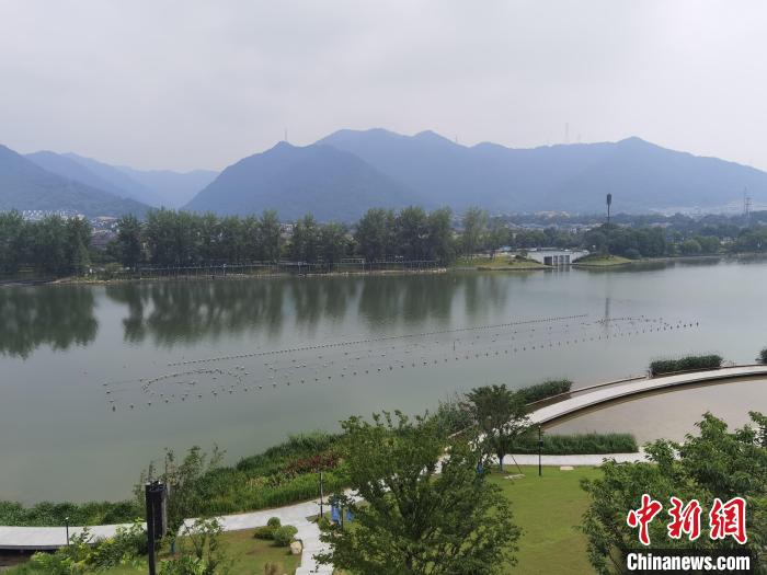 兩岸媒體共探杭州亞運(yùn)會“綠”在何處？