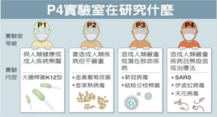 P4實(shí)驗(yàn)室在研究什么。臺(tái)灣聯(lián)合新聞網(wǎng)資料圖
