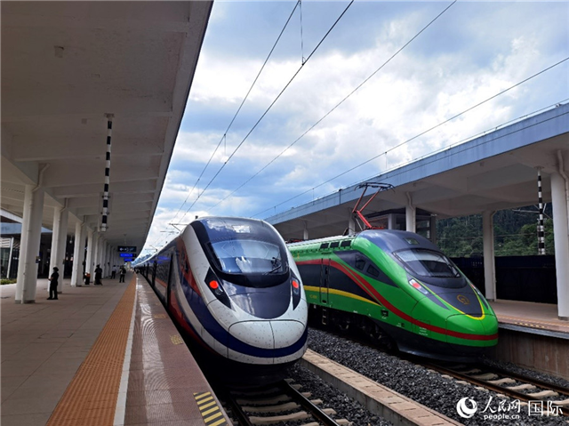 “復(fù)興號(hào)”和“瀾滄號(hào)”國(guó)際旅客列車?？吭诶蠐肽ザ≌?。人民網(wǎng) 杜明明攝
