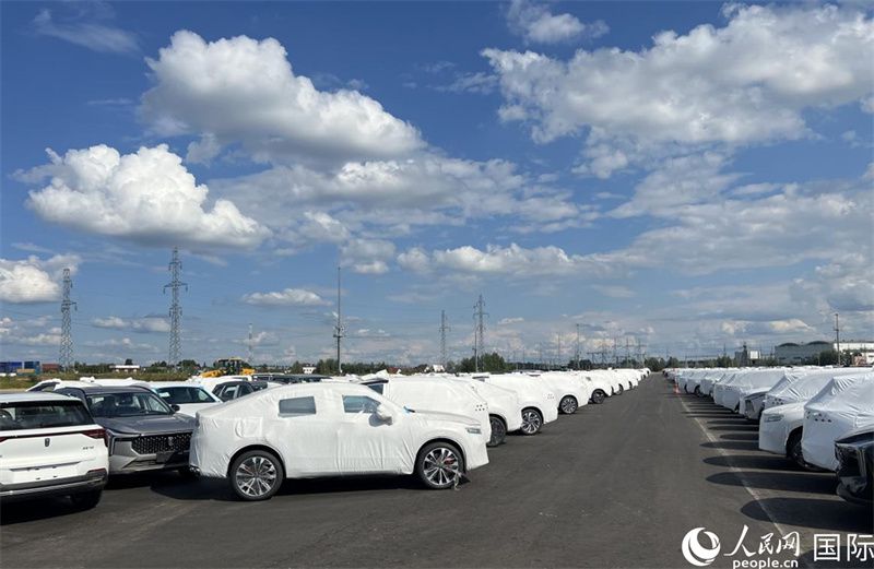 莫斯科別雷拉斯特物流中心內(nèi)的中國品牌汽車。人民網(wǎng)記者 申佳平攝