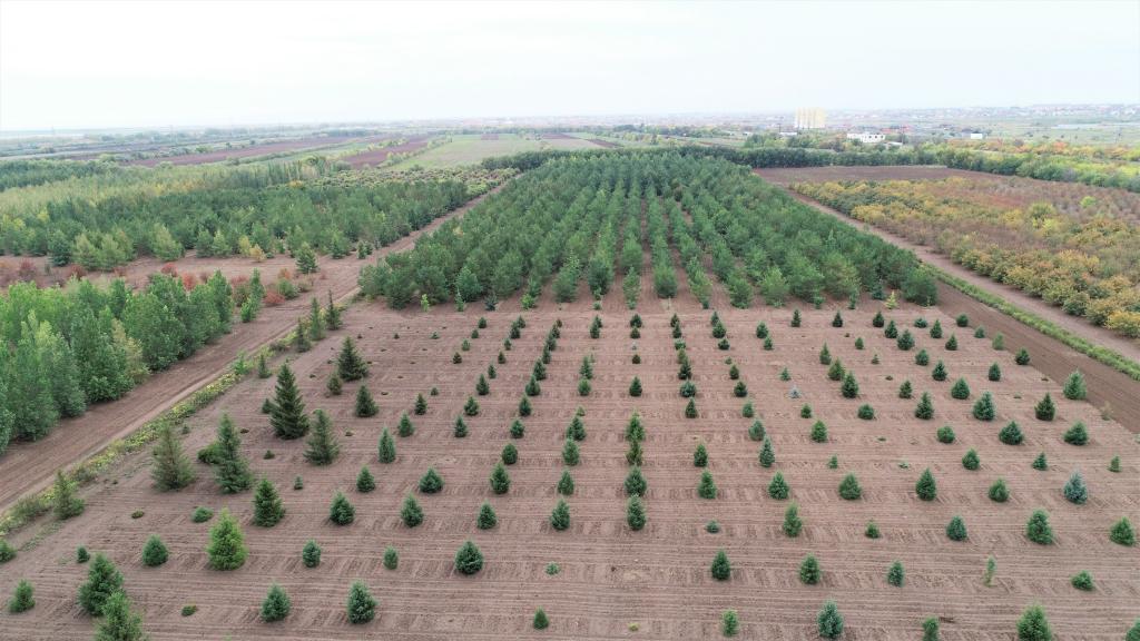 這是2023年9月11日在哈薩克斯坦首都阿斯塔納拍攝的一處植物種質(zhì)資源苗圃（無人機(jī)照片）。新華社發(fā)（法爾哈特·圖克諾夫 攝）