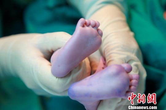 資料圖。簡(jiǎn)文楊 攝
