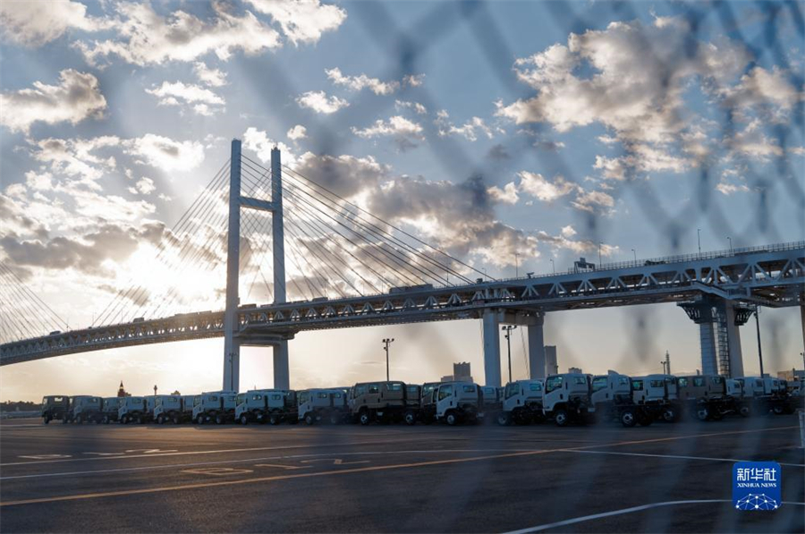 這是11月14日在日本橫濱拍攝的進出口汽車集散場地。新華社記者 張笑宇 攝