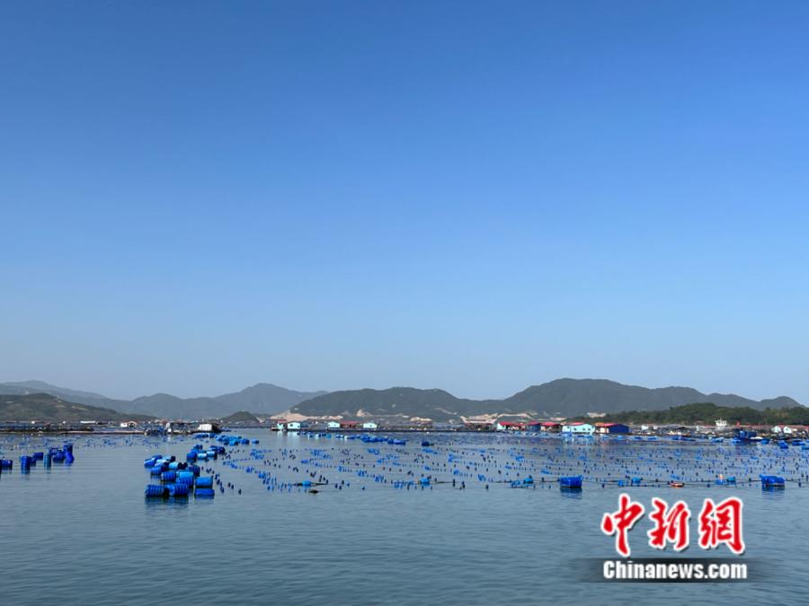 霞浦縣海上魚排。<a target='_blank' href='/' ><p  align=