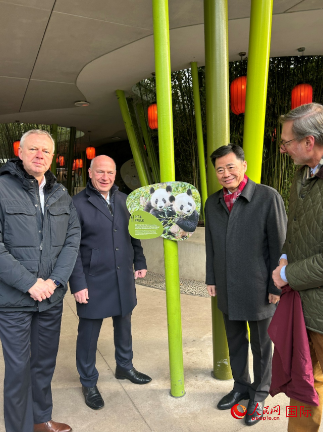 中國(guó)駐德國(guó)大使吳懇（右二）、柏林市長(zhǎng)韋格納（左二）、動(dòng)物園園長(zhǎng)克尼里姆（右一）和監(jiān)事會(huì)主席布魯克曼（左一）共同為“夢(mèng)想”“夢(mèng)圓”大熊貓紀(jì)念牌揭幕。人民網(wǎng)記者 徐馨攝