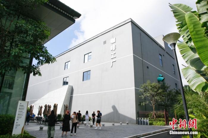 圖為采訪團一行參觀咖啡工廠。 曹淼欣 攝