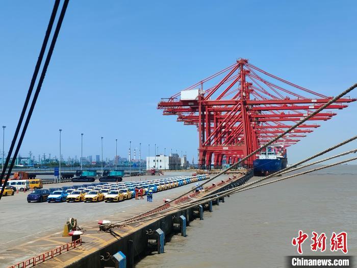 資料圖：國(guó)產(chǎn)新能源車在上海外高橋港區(qū)海通碼頭“整裝待發(fā)”?！∑址?攝