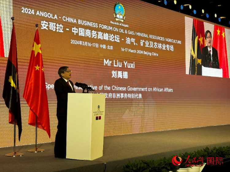 中國政府非洲事務(wù)特別代表劉禹錫。人民網(wǎng)記者 張榮攝
