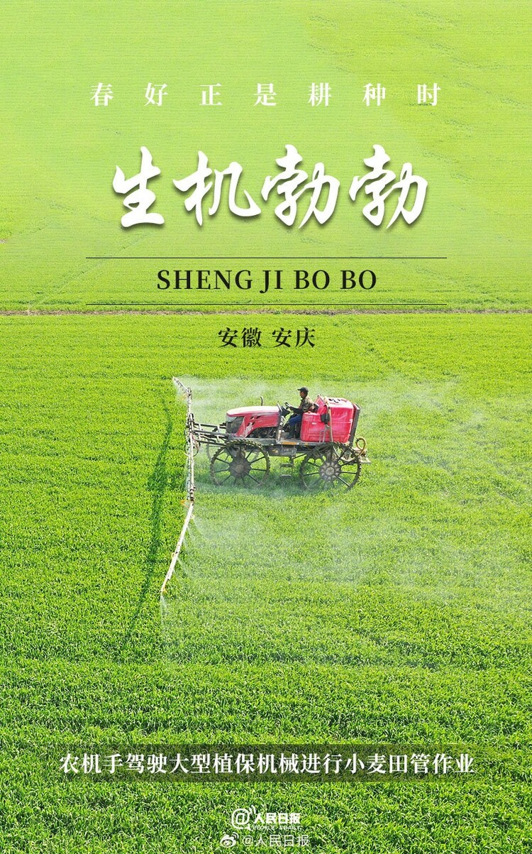 生機(jī)盎然！用課本封面打開春耕畫卷