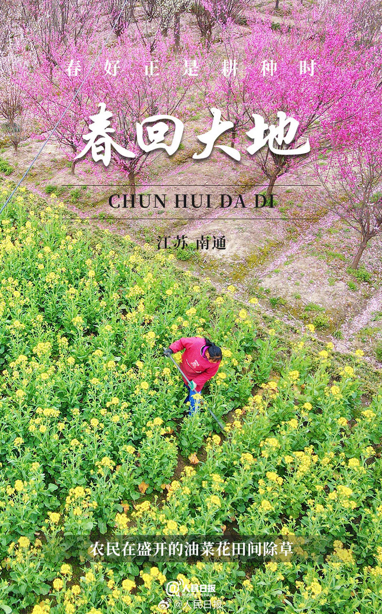 生機(jī)盎然！用課本封面打開春耕畫卷