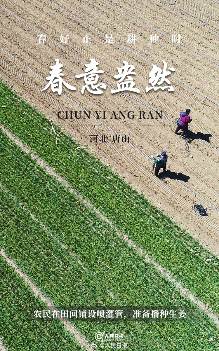 生機(jī)盎然！用課本封面打開春耕畫卷
