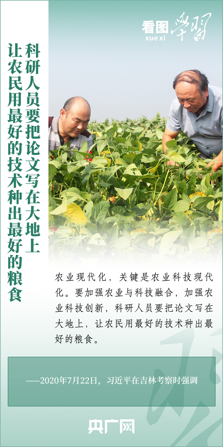 看圖學習丨推廣良田、良種、良法、良機 給農(nóng)業(yè)現(xiàn)代化插上科技的翅膀