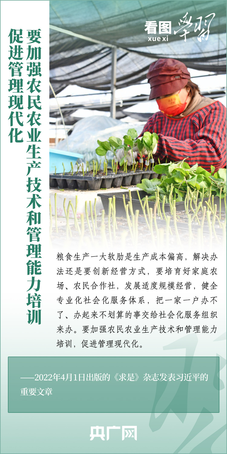 看圖學習丨推廣良田、良種、良法、良機 給農(nóng)業(yè)現(xiàn)代化插上科技的翅膀
