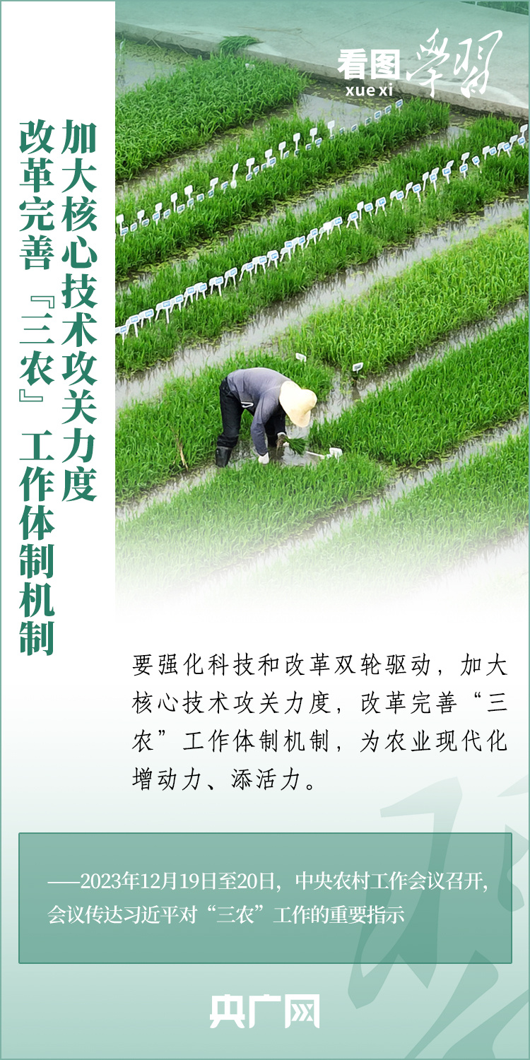 看圖學習丨推廣良田、良種、良法、良機 給農(nóng)業(yè)現(xiàn)代化插上科技的翅膀