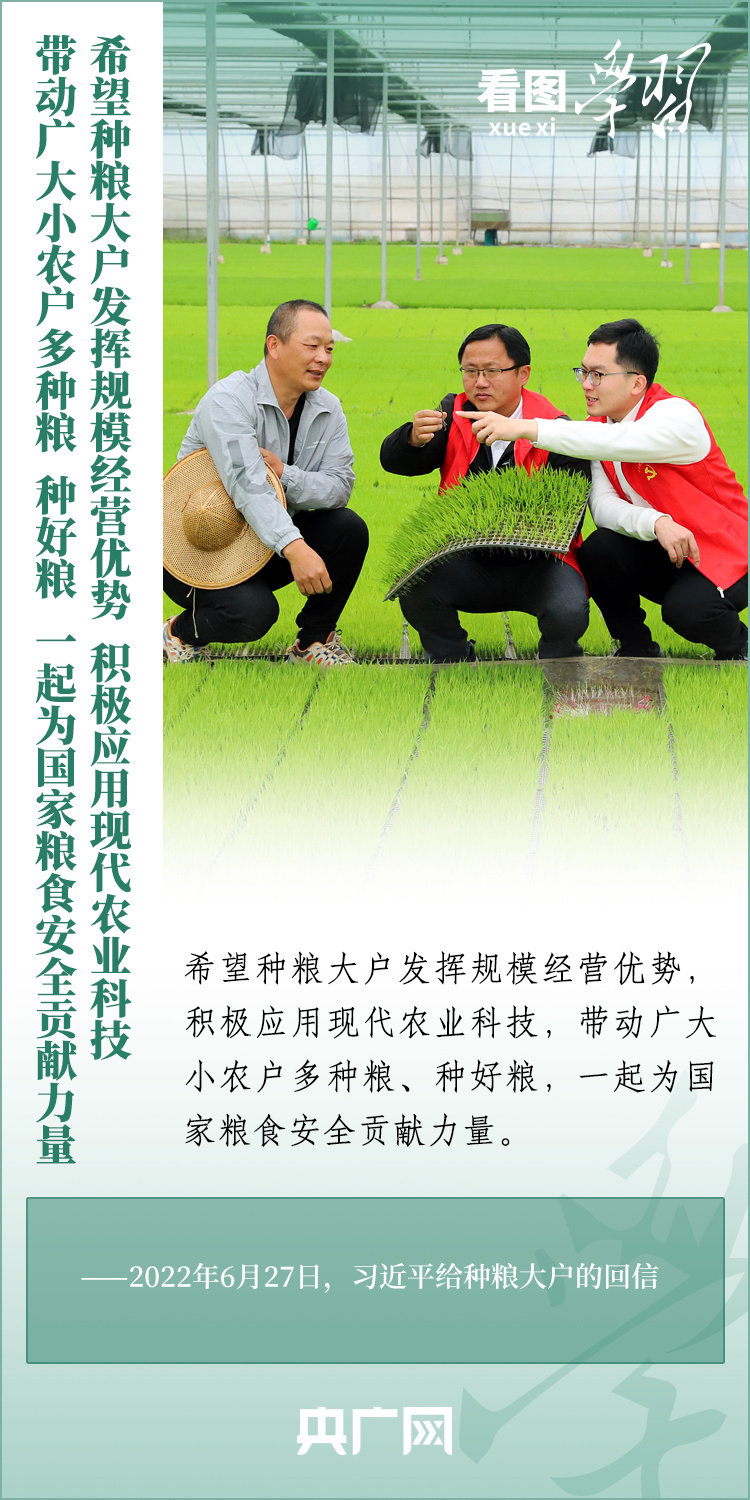 看圖學習丨推廣良田、良種、良法、良機 給農(nóng)業(yè)現(xiàn)代化插上科技的翅膀