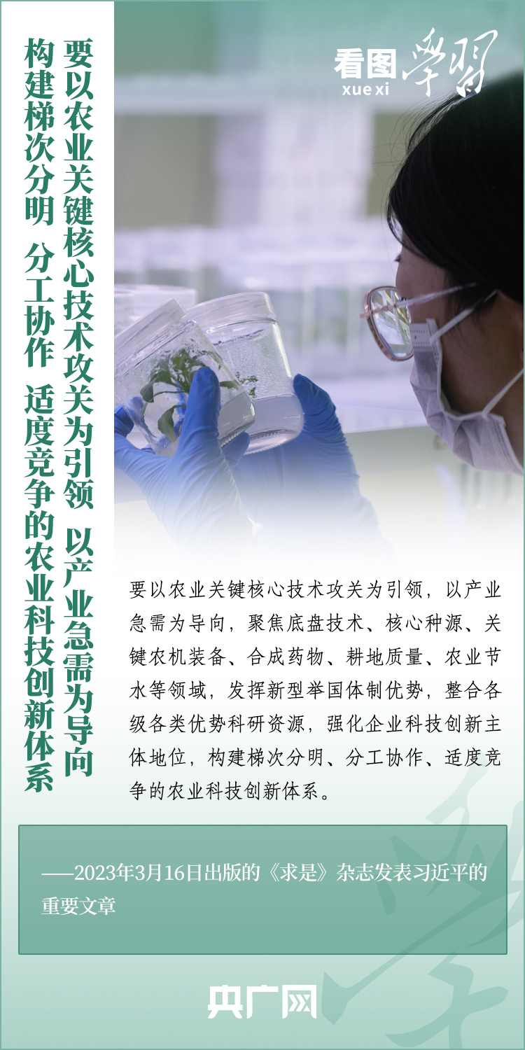 看圖學習丨推廣良田、良種、良法、良機 給農(nóng)業(yè)現(xiàn)代化插上科技的翅膀