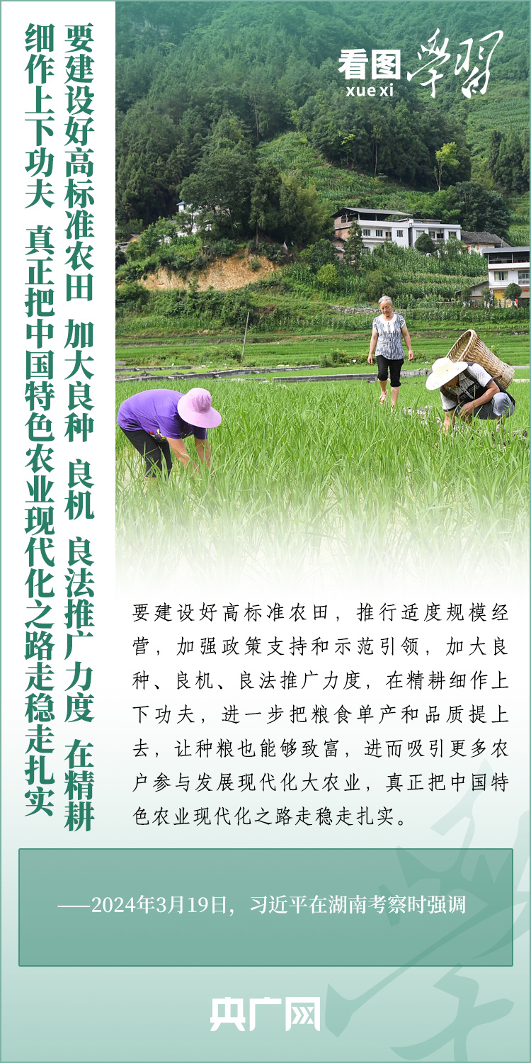 看圖學習丨推廣良田、良種、良法、良機 給農(nóng)業(yè)現(xiàn)代化插上科技的翅膀