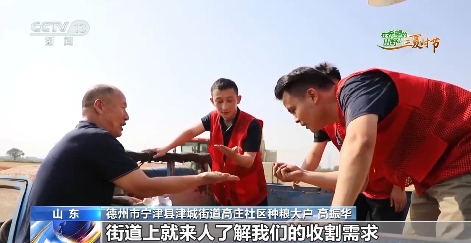 “三夏”生產(chǎn)思維導(dǎo)圖安排上了！還有政府大院等你來“曬”