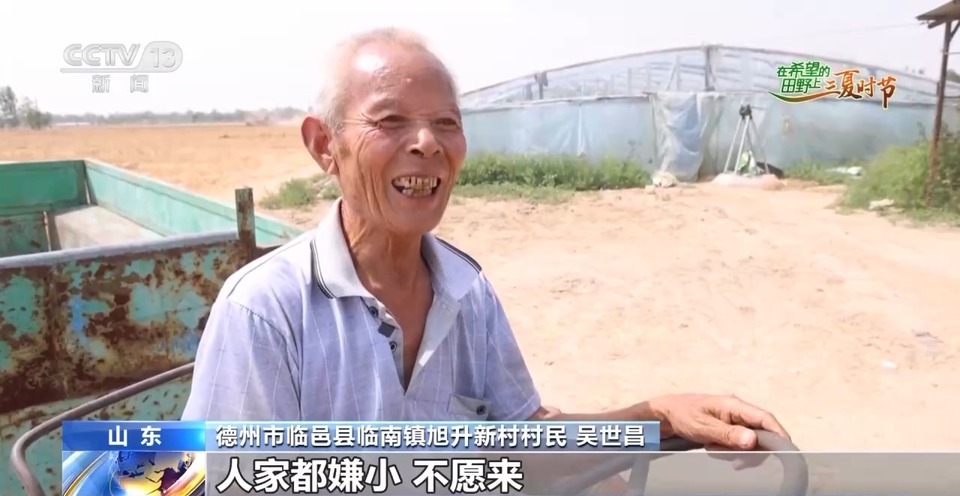 “三夏”生產(chǎn)思維導(dǎo)圖安排上了！還有政府大院等你來“曬”