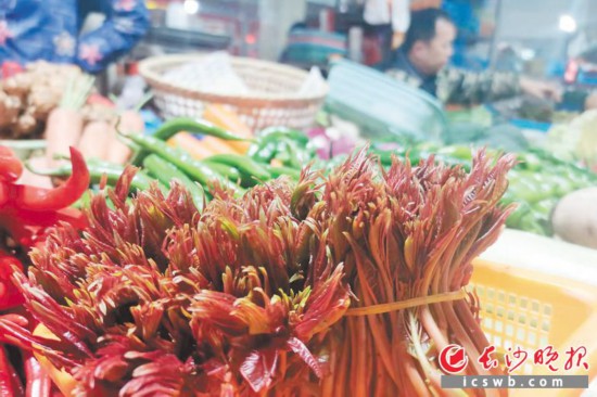 　　農(nóng)貿(mào)市場里鮮嫩的香椿。　　均為長沙晚報(bào)全媒體記者 劉捷萍 攝
