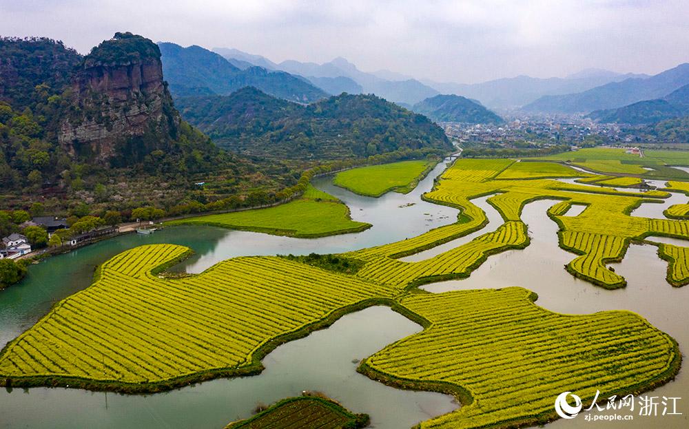3月28日，航拍浙江省臨海市桃渚鎮(zhèn)桃江十三渚盛開(kāi)的油菜花景色。人民網(wǎng) 章勇濤攝