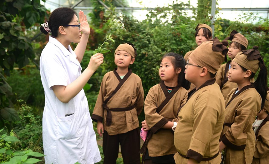參加活動(dòng)的孩子聆聽(tīng)滄州市人民醫(yī)院國(guó)醫(yī)館中醫(yī)對(duì)中藥材的講解。 傅新春攝
