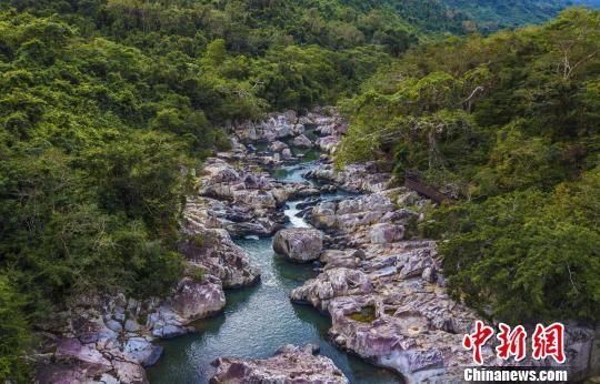 2018年海南生態(tài)環(huán)境狀況等級為“優(yōu)”，植被覆蓋率高，生物多樣性豐富，生態(tài)系統(tǒng)穩(wěn)定，圖為海南中部熱帶雨林?！●樤骑w　攝