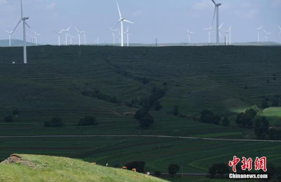 6月28日，河北張家口張北草原上大片風(fēng)力發(fā)電的“風(fēng)車”規(guī)模宏大。 中新社記者 楊艷敏 攝
