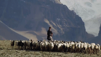 你看了嗎？藏語版《日光之城》“含金量”還在上升！