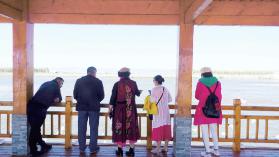 湟魚(yú)洄游奇觀吸引游人。