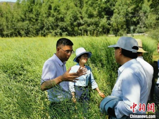圖為九三學(xué)社青海省委主委杜德志(左一)在基層調(diào)研。受訪者供圖