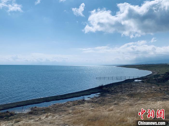 圖為青海湖畔。(資料圖) 張傲 攝