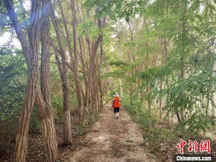 戈壁灘上的護林員：以前風吹睜不開眼，現(xiàn)在滿眼皆綠色