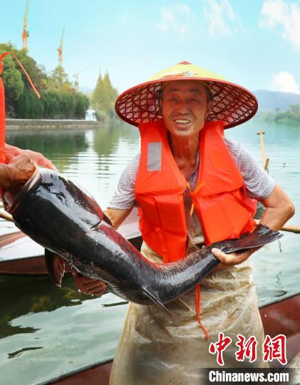 工作人員展示捕撈成果?！≈鬓k方供圖