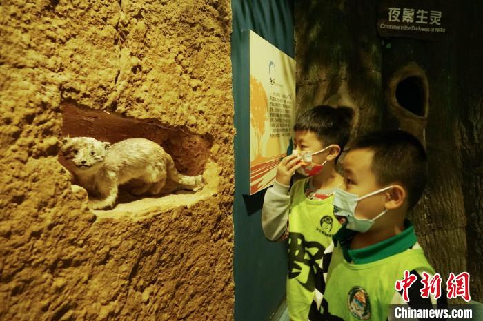 圖為小朋友在青海西寧湟水國(guó)家濕地公園科普館內(nèi)參觀學(xué)習(xí)?！●R銘言 攝